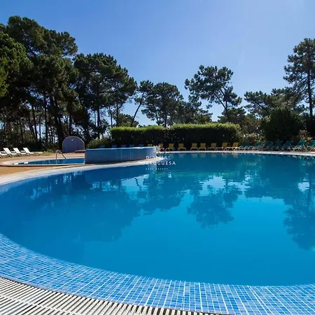 Pine View- Falesia By Dalma Portuguesa 아파트 알부페이라