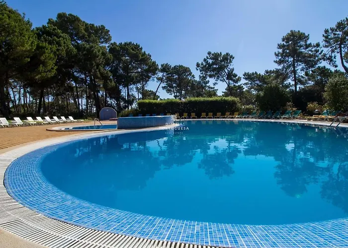 Pine View- Falesia By Dalma Portuguesa 公寓 阿尔布费拉