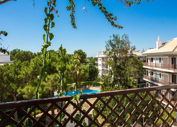 Pine View- Falesia By Dalma Portuguesa * 阿尔布费拉